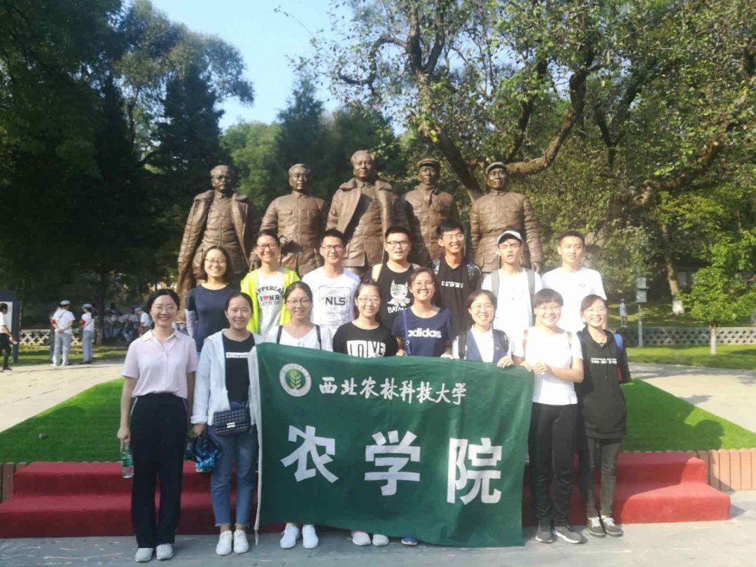 废品收购站回收破旧的木板吗？
